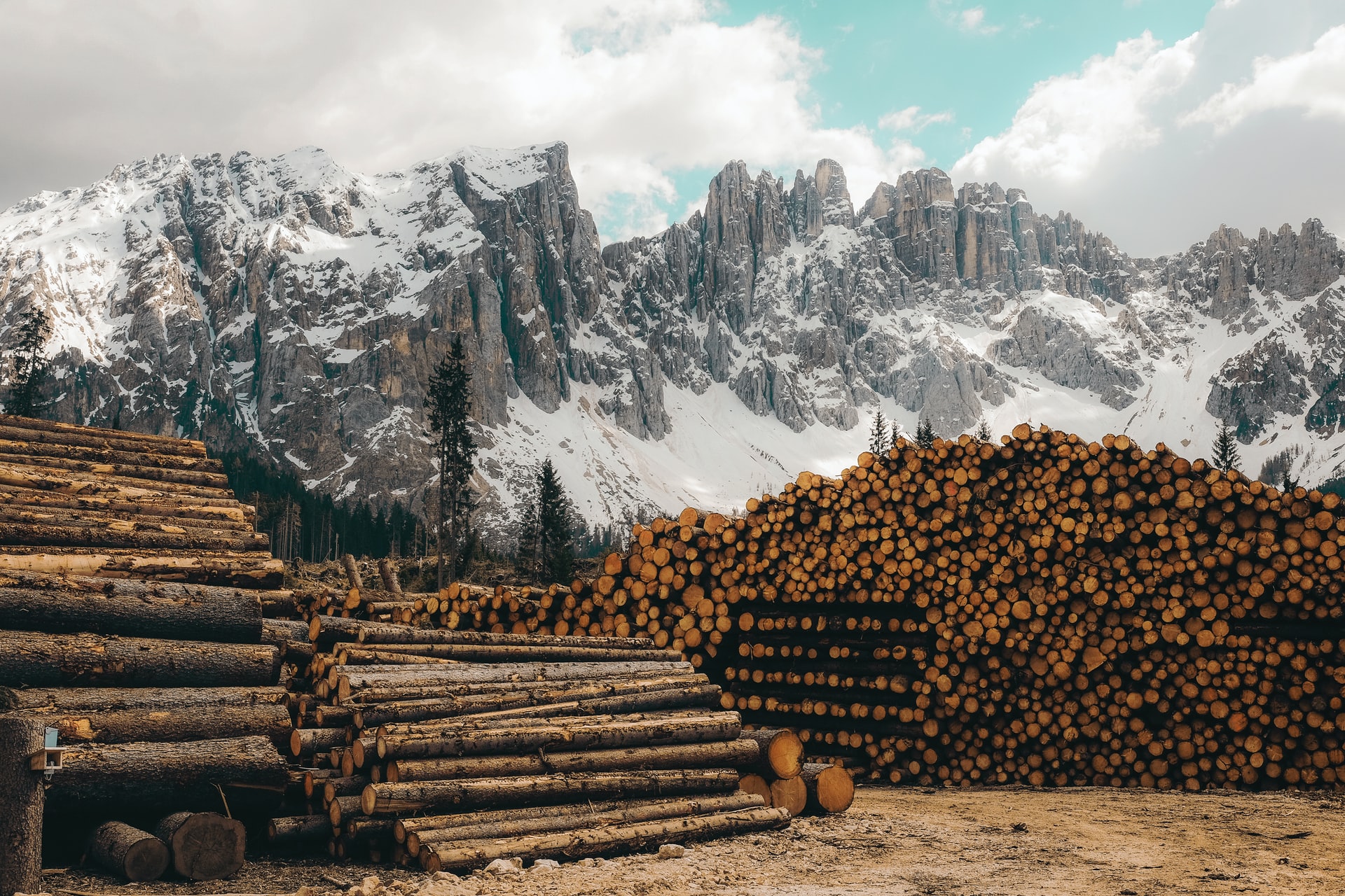 The Bank Of Canada Used Lumber To Prove Transitory Inflation Then   The Bank Of Canada Used Lumber To 22Prove22 Transitory Inflation Then Prices Doubled 