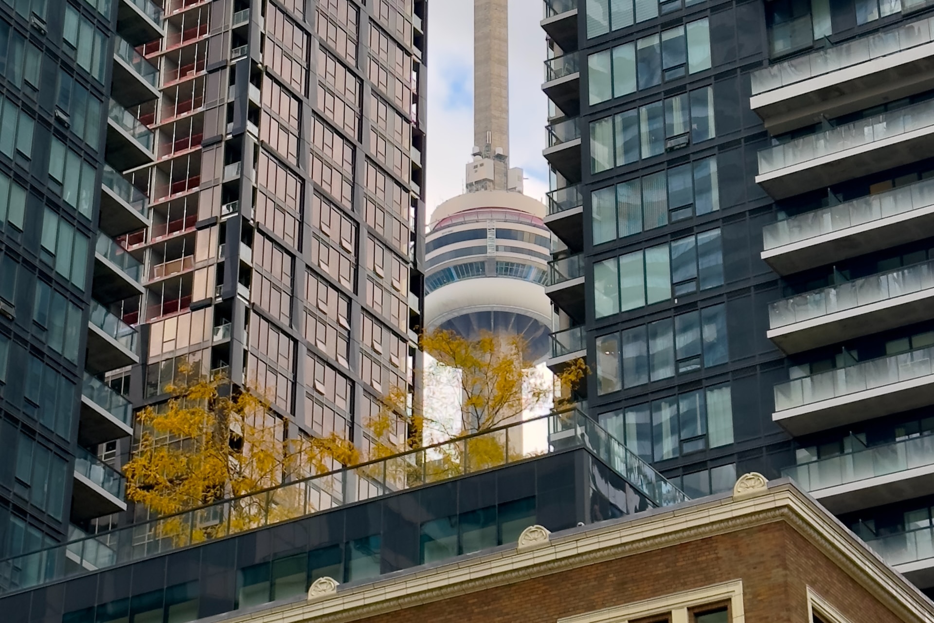 Canadian Real Estate Prices To Fall Over The Next Year Scotiabank